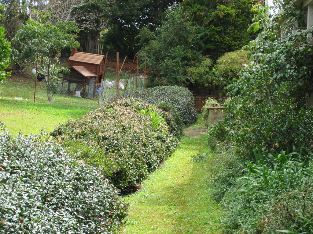 Eden Lodge Nambour Zewnętrze zdjęcie